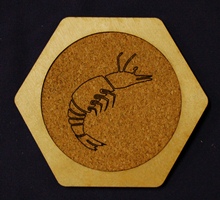 Custom hex drink coaster Prawn Designs Logo