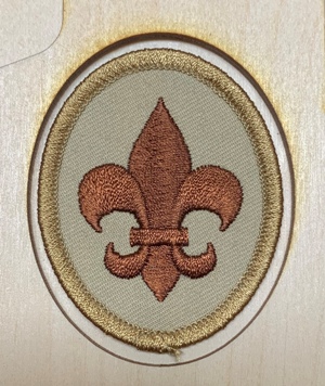 Boy Scout Eagle Award Plaques